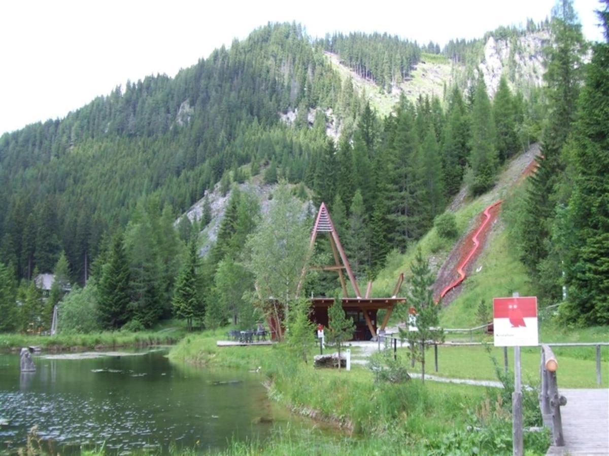 Chalet In Hohentauern With In House Wellness Extérieur photo